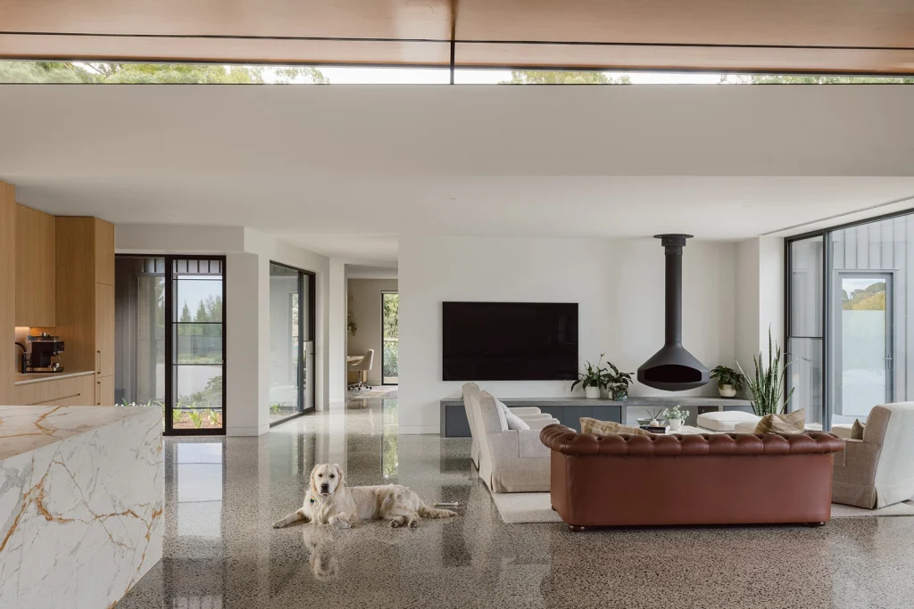 Home 6